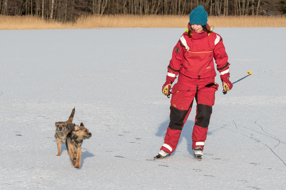 Kasvihuone saaressa