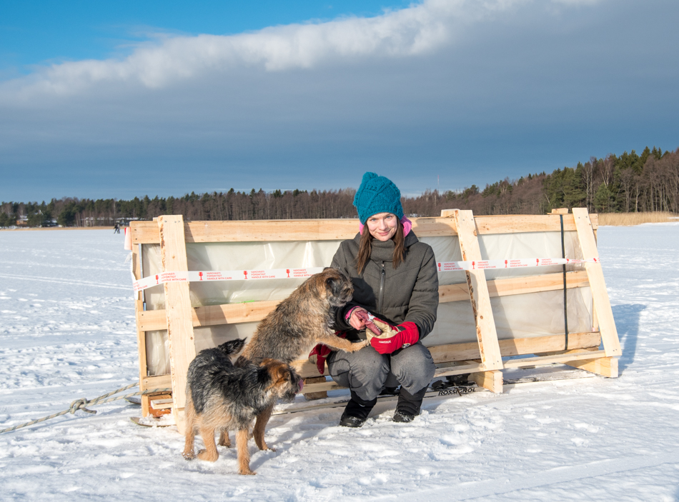 kasvihuonelasien kuljetus saareen