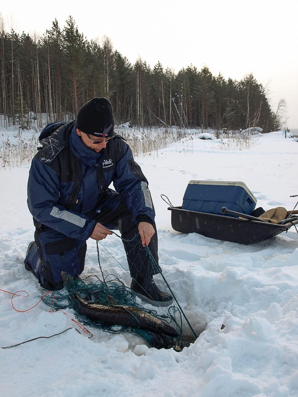 hauen kalastus verkoilla talvella