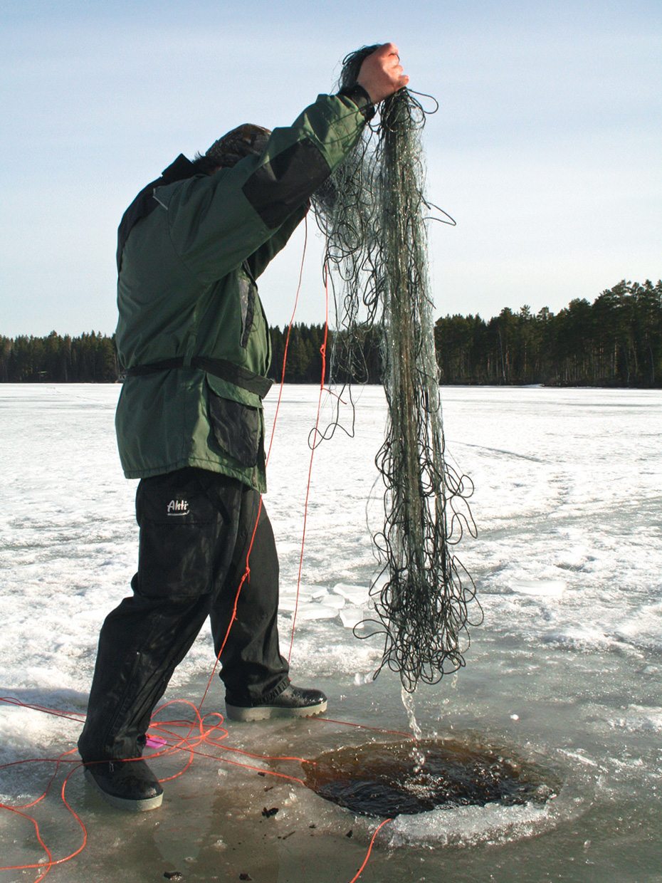 kalaverkon huuhtominen talvella