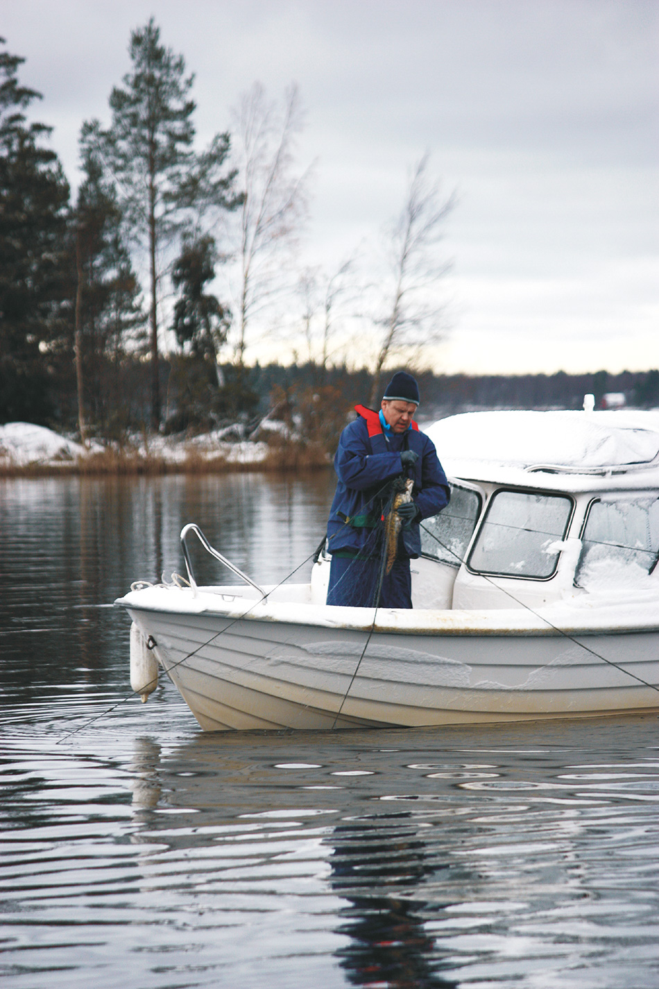 mateen kalastaminen verkolla