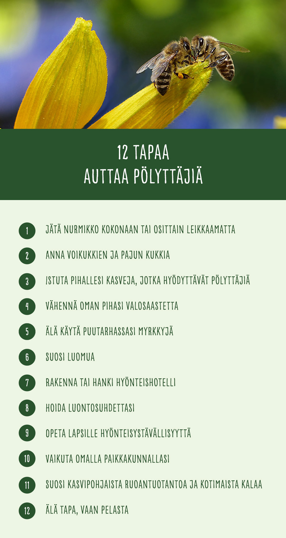 pelasta pörriäinen - mitä voimme tehdä