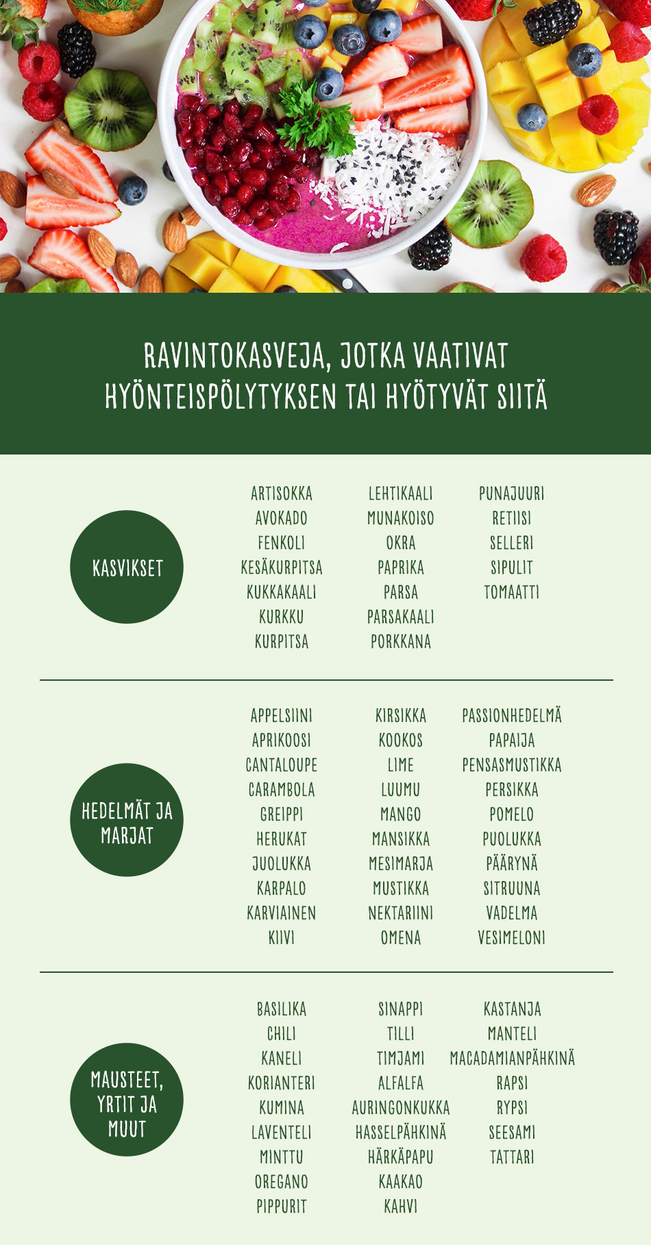 pölyttäjäkato vaikuttaa ruoantuotantoon