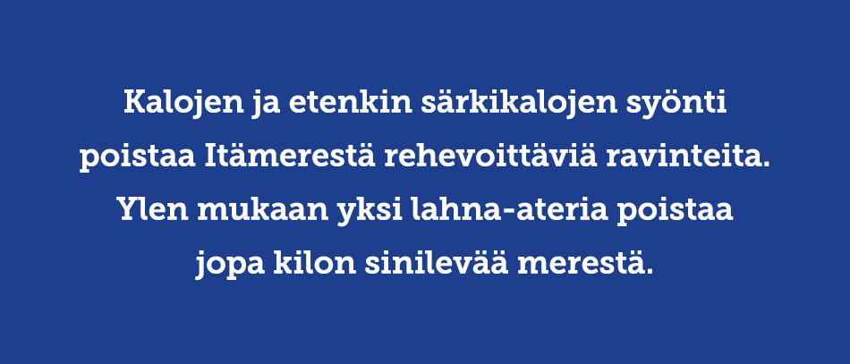 SUP-direktiivin vaikutus kalansyöntiin