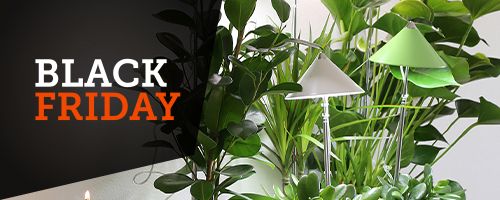 Black Friday kasvivalot