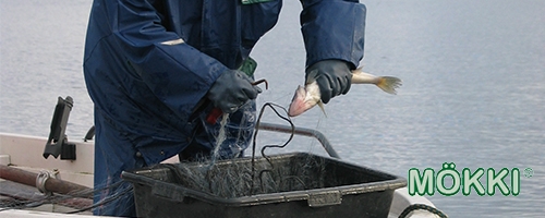 Mökki kalaverkot