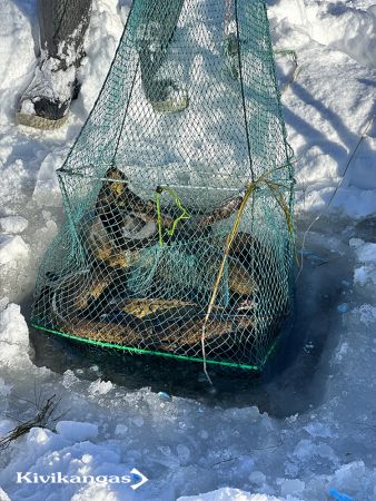 Aapo kalatupa mjärde 5m