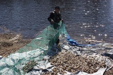 Aapo kalatupa mjärde 8,5m