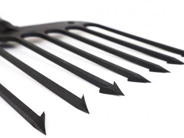 Ljuster  Laxström 9 piggar