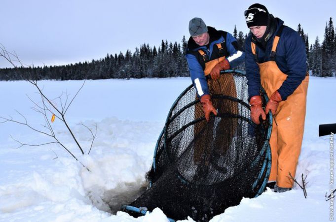 Ahti Avohaalari 920 (10000mm)