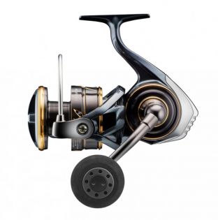 Avokela Caldia SW 8000-H, Daiwa