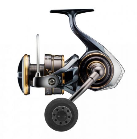 Avokela Caldia SW 6000D-H, Daiwa