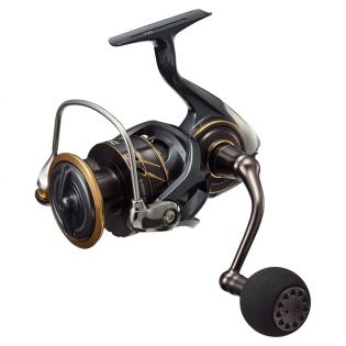 Avokela Caldia SW 6000D-H, Daiwa