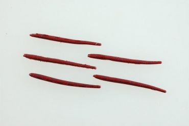 Konstgjord mask Gulp! Alive! Angleworm, Red Wiggler