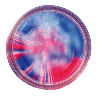 Syöttitahna Berkley PowerBait Glitter Trout Bait, Garlic Captain America 50 g