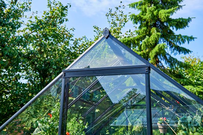 *ERBJUDAN* Växthus Halls Qube 5,1 m² säkerhetsglas, svart stomme
