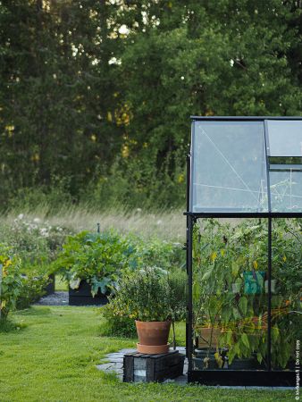 Växthus Halls Qube 5,1 m² säkerhetsglas, svart stomme