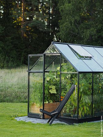 Växthus Halls Qube 6,4 m² säkerhetsglas, svart stomme