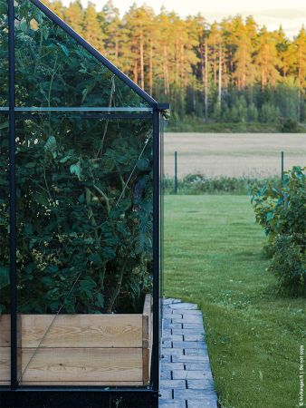 Växthus Halls Qube 6,4 m² säkerhetsglas, svart stomme