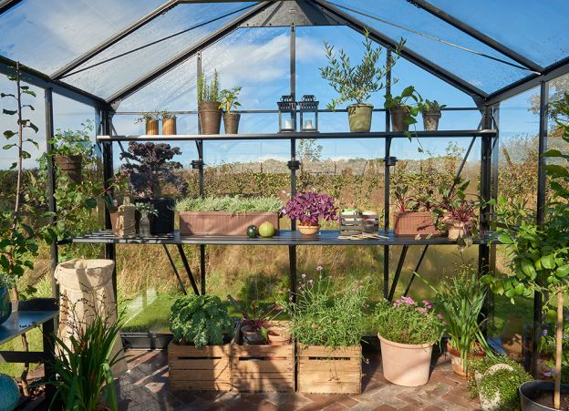 Modellväxthus Helsingfors Juliana Jubile 60 15,1 m² säkerhetsglas, svart