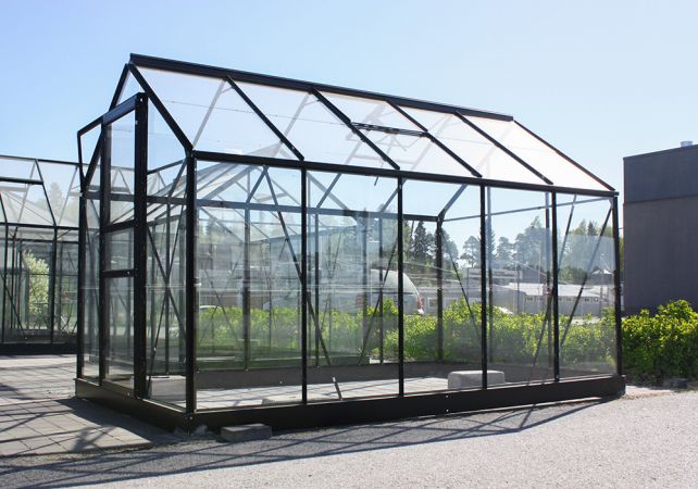 Växthus Halls Popular 6,2 m² glas, svart färg