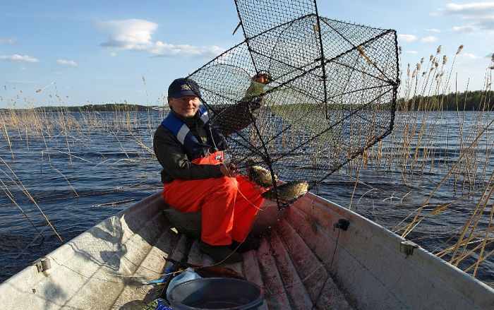 RAMPO-fiskmjärde