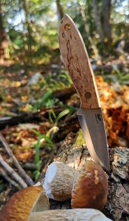 Puukko Brisa Bobtail, Curly Birch