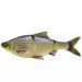 Viehe 4D Line Thru Roach Savage Gear, väri: Hugo