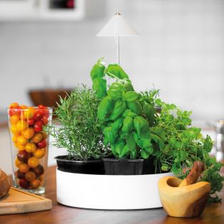 Sunlite miniHerb L örtkruka med växtlampa