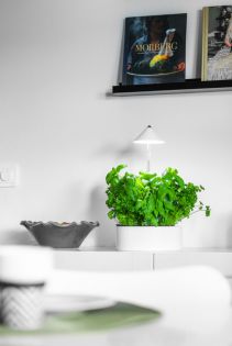 Sunlite miniHerb S örtkruka med växtlampa