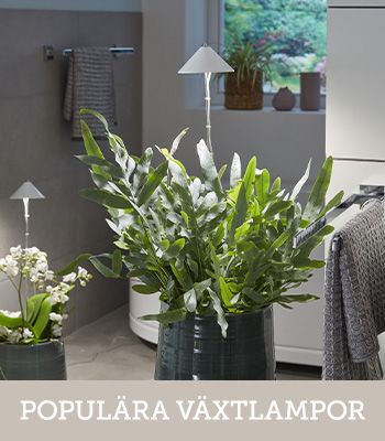 Se produkterna >>