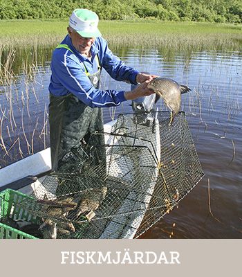 Se produkterna >>